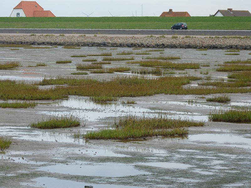 19.Oktober 2013 0079.JPG